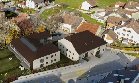 Crassier, Borex